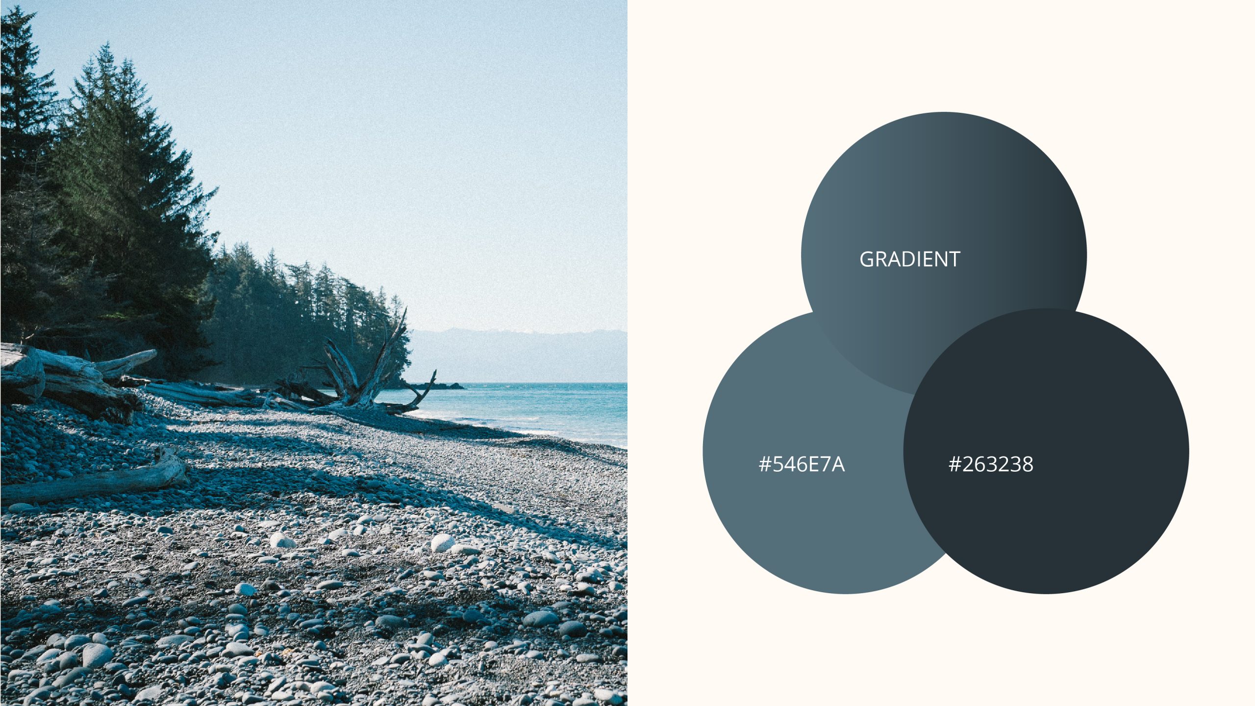 Brand Assets.3.2@2x-100